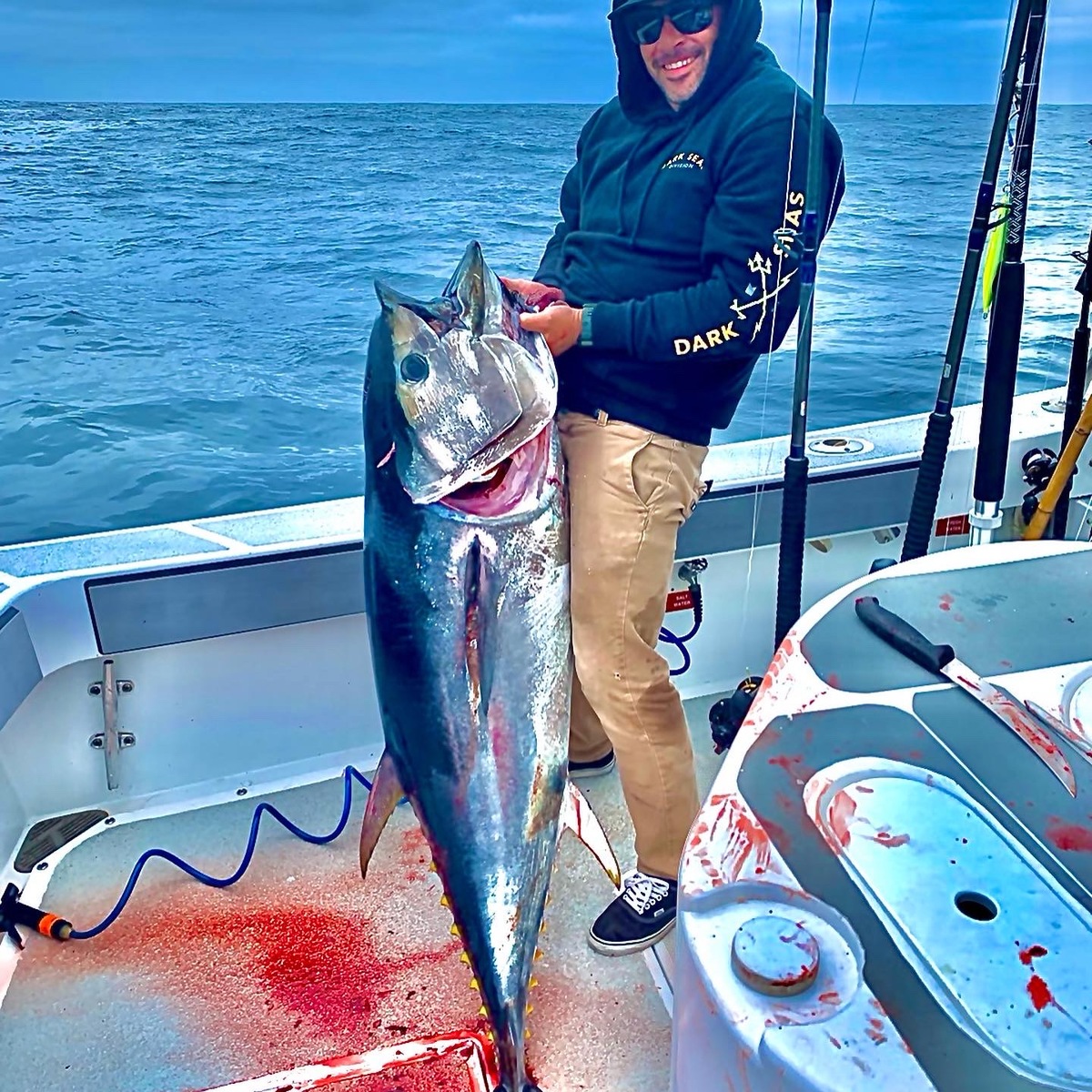 Bluefin on the Kite 2021