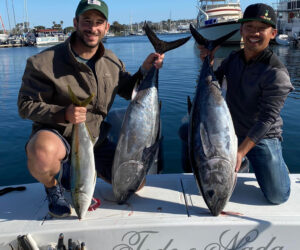 San Diego Fishing: Todo O Nada Is All In, Every Trip